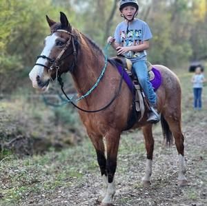 Meet your Posher, Lisa